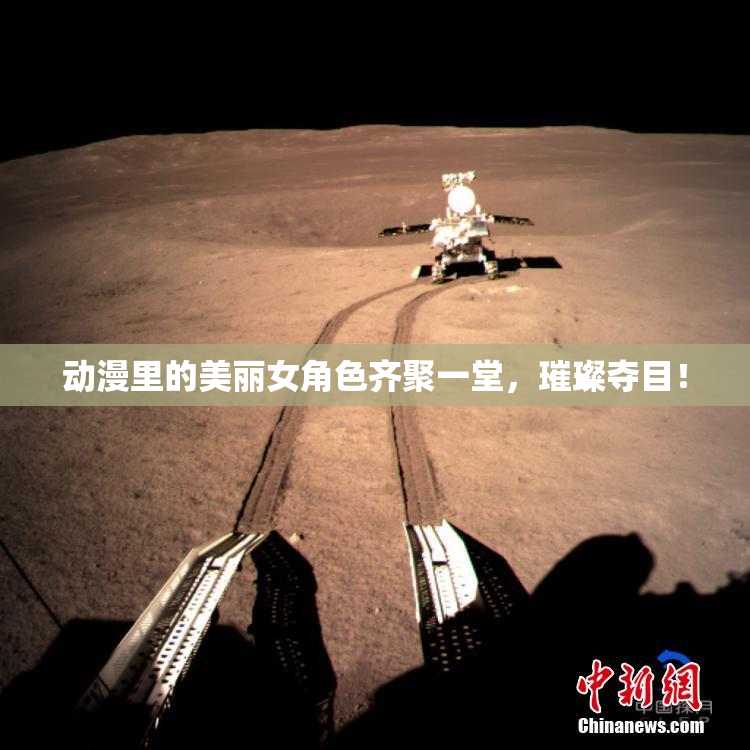 动漫里的美丽女角色齐聚一堂，璀璨夺目！