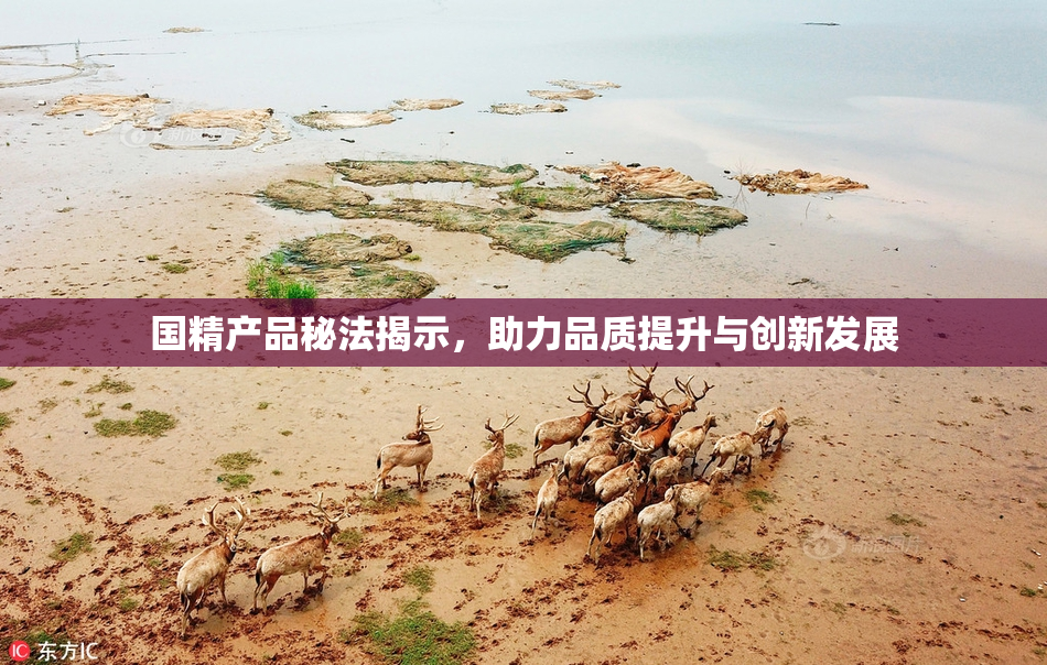 国精产品秘法揭示，助力品质提升与创新发展
