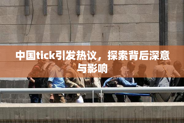 中国tick引发热议，探索背后深意与影响