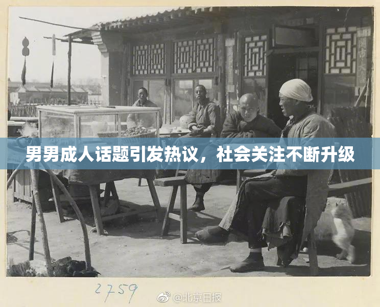 男男成人话题引发热议，社会关注不断升级