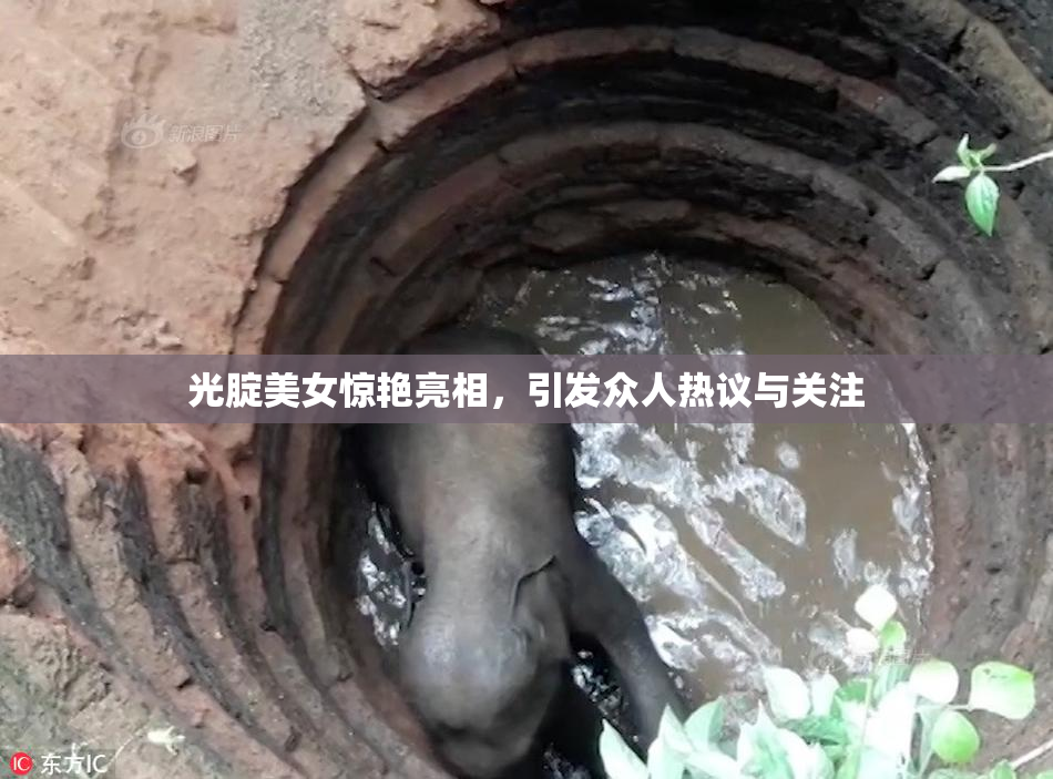 光腚美女惊艳亮相，引发众人热议与关注