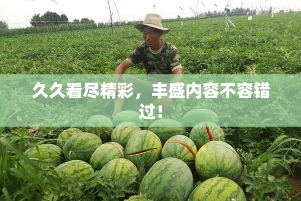久久看尽精彩，丰盛内容不容错过！