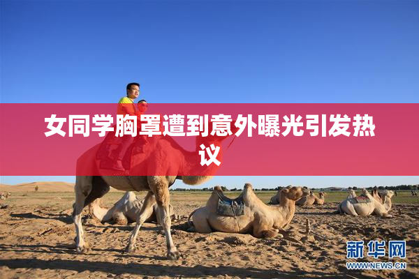女同学胸罩遭到意外曝光引发热议
