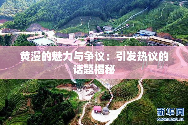黄漫的魅力与争议：引发热议的话题揭秘