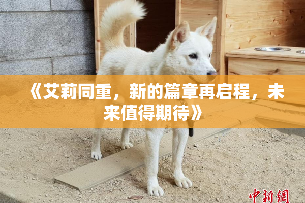 《艾莉同重，新的篇章再启程，未来值得期待》