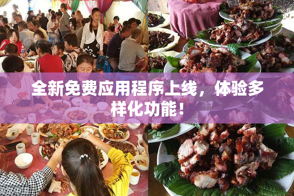 全新免费应用程序上线，体验多样化功能！