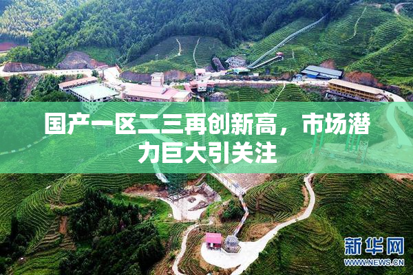 国产一区二三再创新高，市场潜力巨大引关注