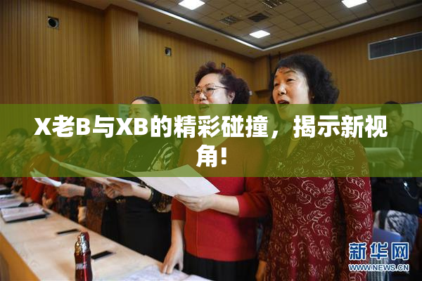 X老B与XB的精彩碰撞，揭示新视角!