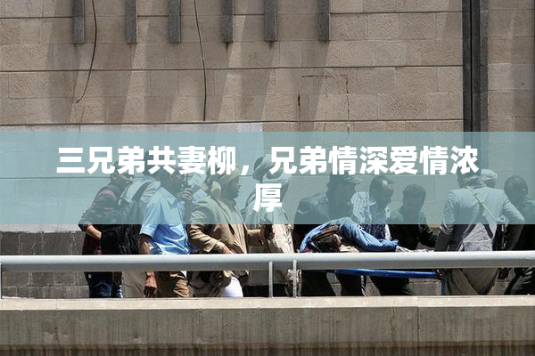 三兄弟共妻柳，兄弟情深爱情浓厚