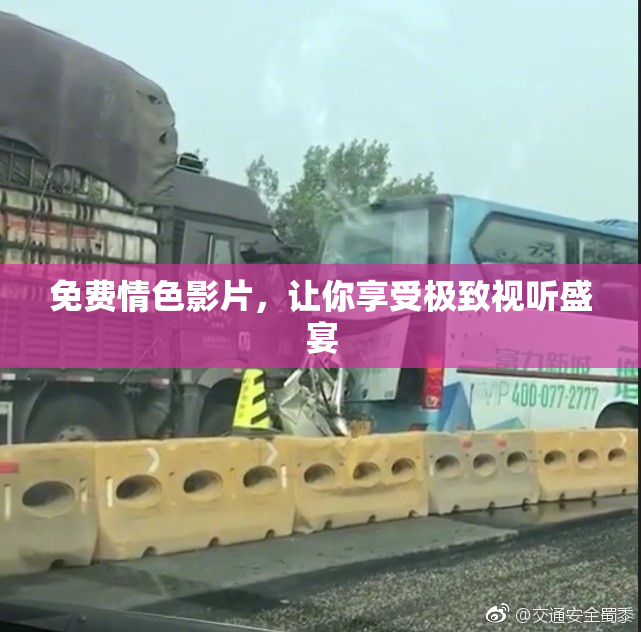 免费情色影片，让你享受极致视听盛宴