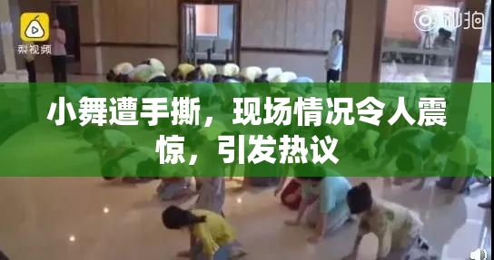 小舞遭手撕，现场情况令人震惊，引发热议