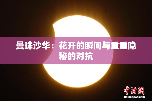 曼珠沙华：花开的瞬间与重重隐秘的对抗