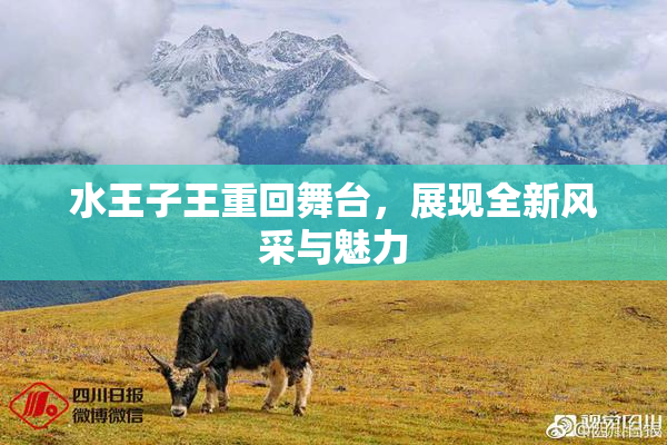 水王子王重回舞台，展现全新风采与魅力