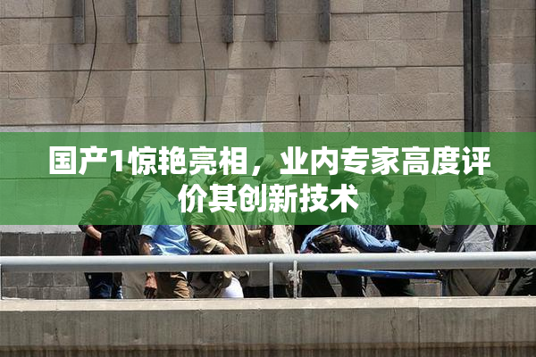 国产1惊艳亮相，业内专家高度评价其创新技术