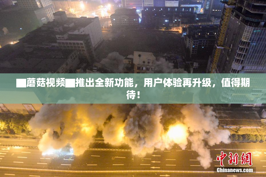 ▇蘑菇视频▇推出全新功能，用户体验再升级，值得期待！