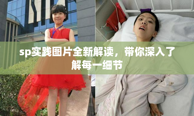 sp实践图片全新解读，带你深入了解每一细节