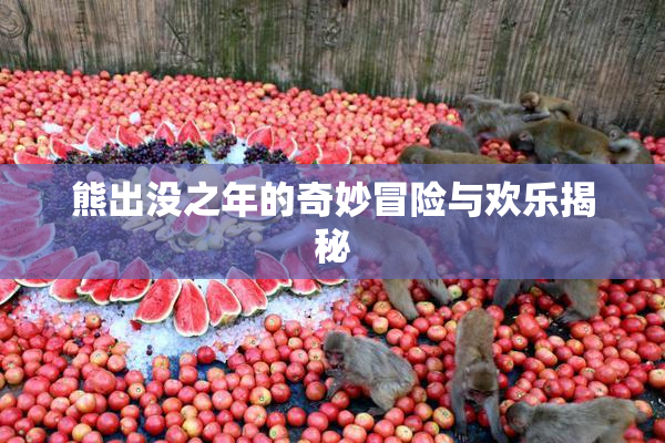 熊出没之年的奇妙冒险与欢乐揭秘