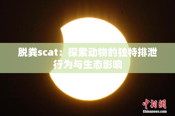 脱粪scat：探索动物的独特排泄行为与生态影响