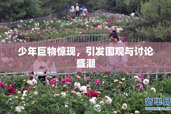 少年巨物惊现，引发围观与讨论盛潮