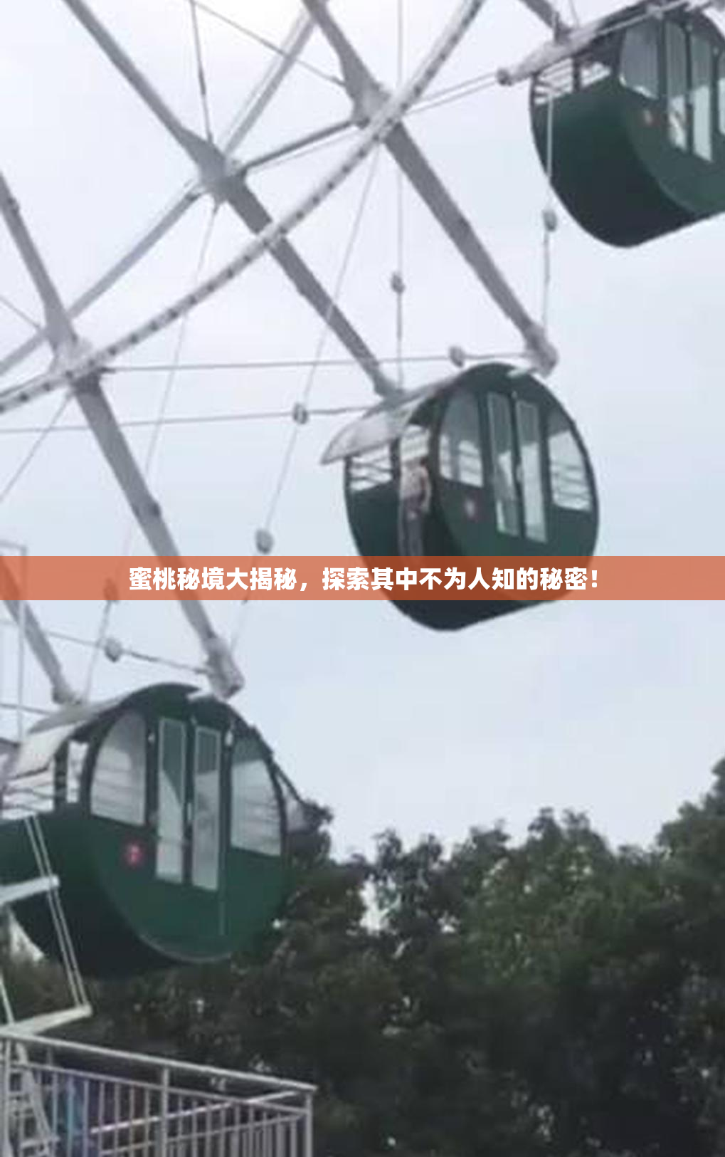 蜜桃秘境大揭秘，探索其中不为人知的秘密！