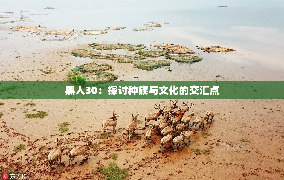 黑人30：探讨种族与文化的交汇点
