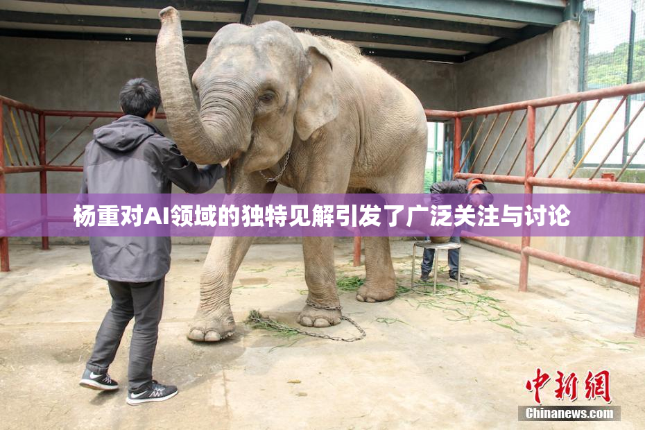 杨重对AI领域的独特见解引发了广泛关注与讨论