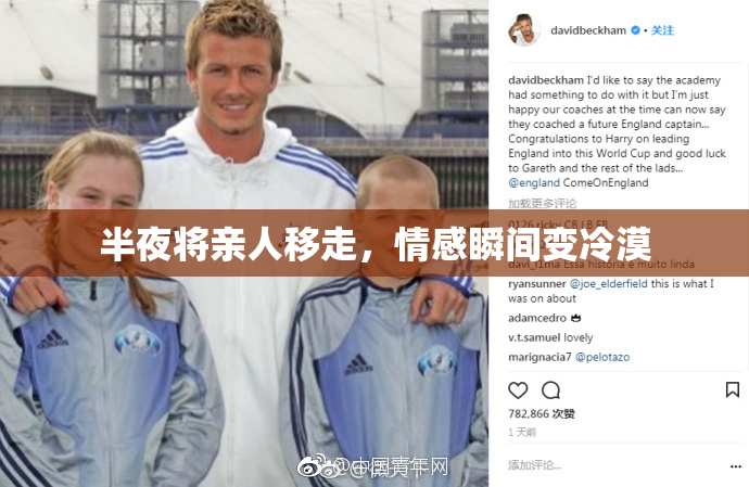 半夜将亲人移走，情感瞬间变冷漠