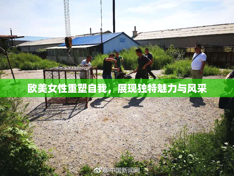 欧美女性重塑自我，展现独特魅力与风采