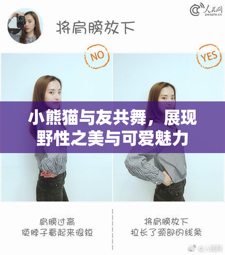 小熊猫与友共舞，展现野性之美与可爱魅力