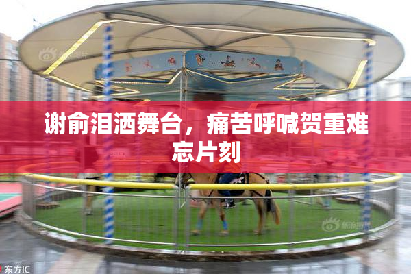 谢俞泪洒舞台，痛苦呼喊贺重难忘片刻