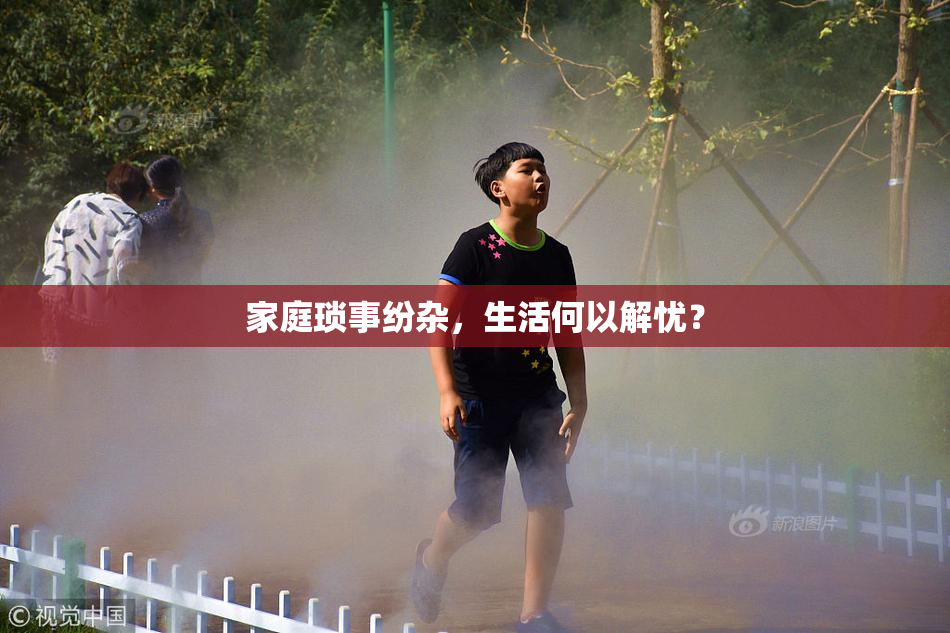 家庭琐事纷杂，生活何以解忧？