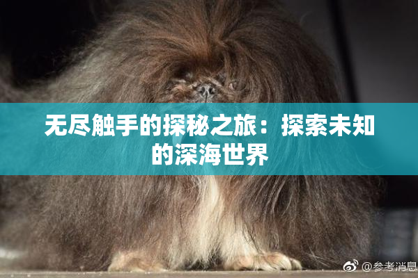 无尽触手的探秘之旅：探索未知的深海世界