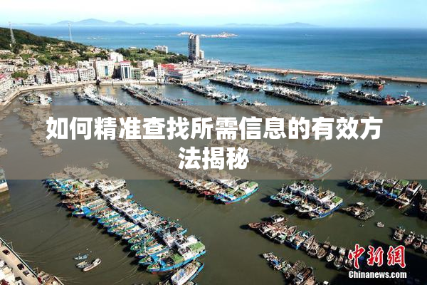 如何精准查找所需信息的有效方法揭秘