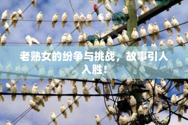 老熟女的纷争与挑战，故事引人入胜！