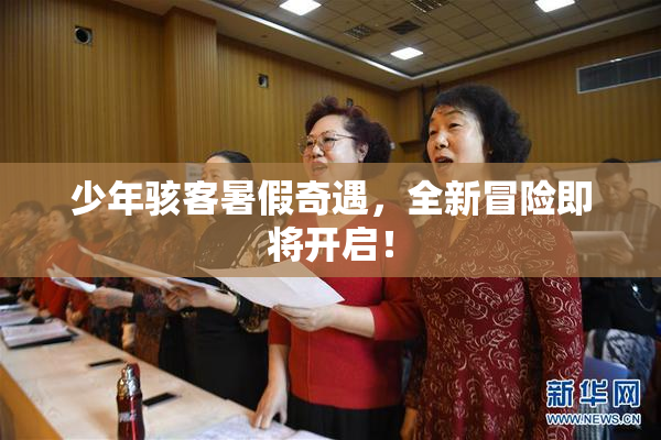 少年骇客暑假奇遇，全新冒险即将开启！