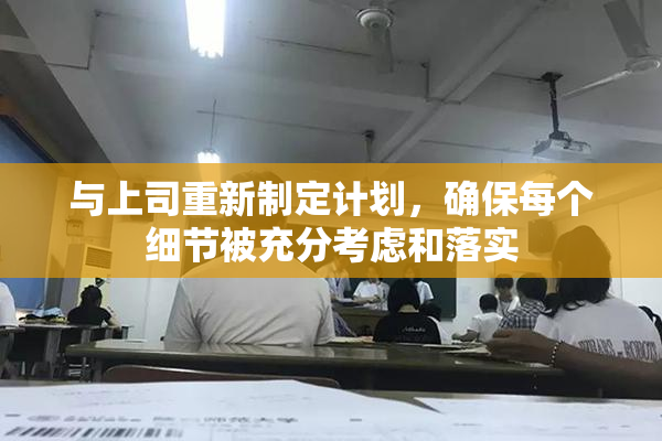 与上司重新制定计划，确保每个细节被充分考虑和落实