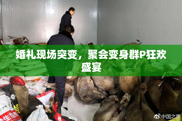 婚礼现场突变，聚会变身群P狂欢盛宴
