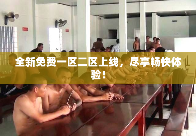 全新免费一区二区上线，尽享畅快体验！