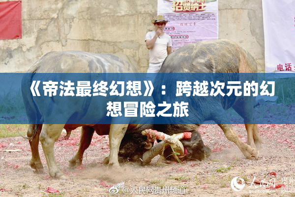 《帝法最终幻想》：跨越次元的幻想冒险之旅