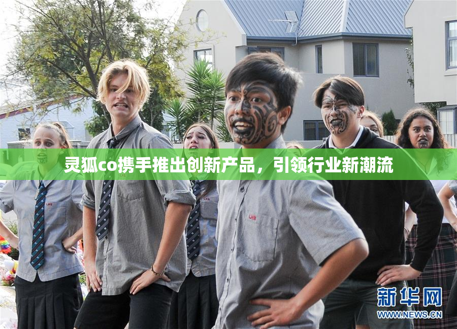 灵狐co携手推出创新产品，引领行业新潮流
