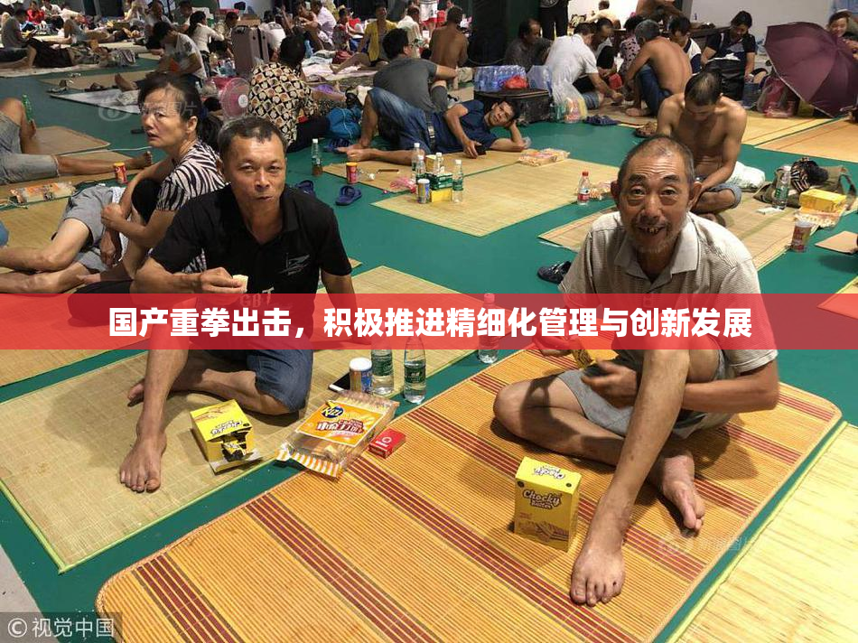 国产重拳出击，积极推进精细化管理与创新发展