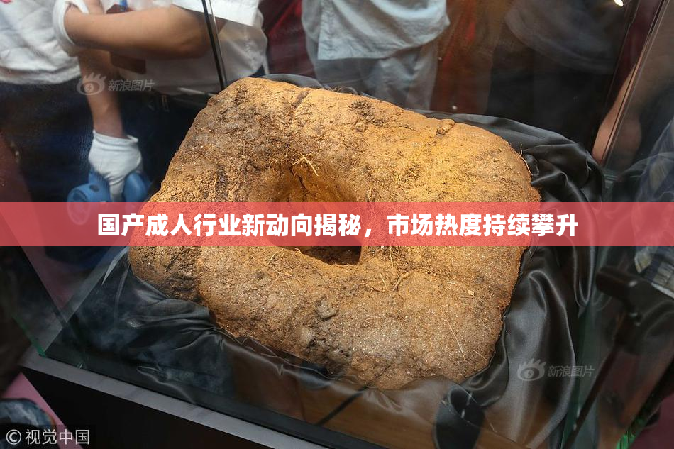 国产成人行业新动向揭秘，市场热度持续攀升