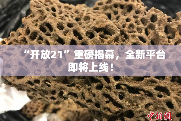 “开放21”重磅揭幕，全新平台即将上线！