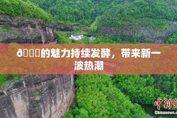 🈚的魅力持续发酵，带来新一波热潮