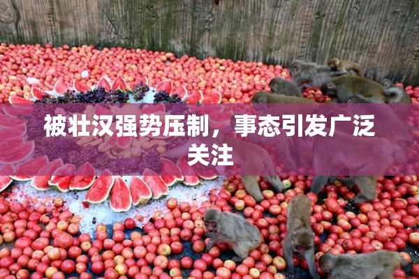 被壮汉强势压制，事态引发广泛关注