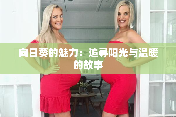 向日葵的魅力：追寻阳光与温暖的故事