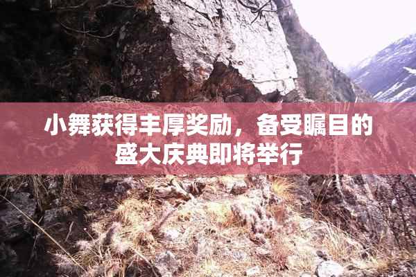 小舞获得丰厚奖励，备受瞩目的盛大庆典即将举行