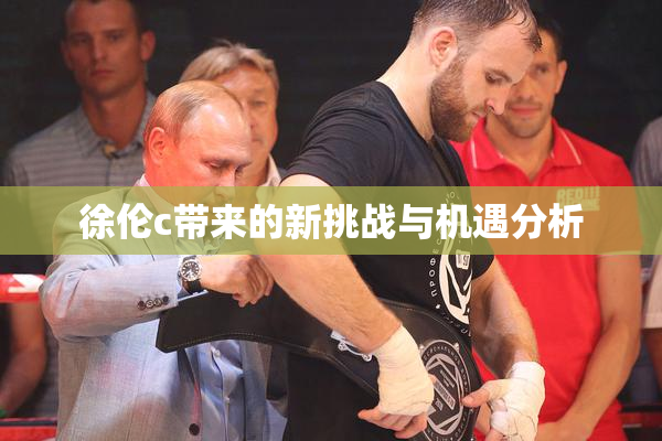 徐伦c带来的新挑战与机遇分析