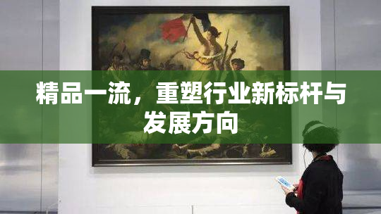 精品一流，重塑行业新标杆与发展方向