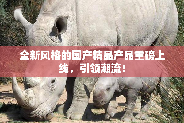 全新风格的国产精品产品重磅上线，引领潮流！